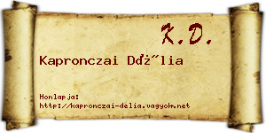 Kapronczai Délia névjegykártya
